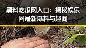 黑料吃瓜网入口：揭秘娱乐圈最新爆料与趣闻