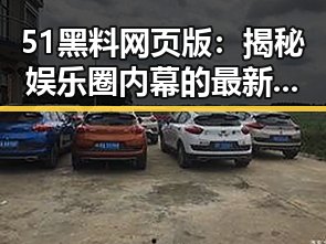 51黑料网页版：揭秘娱乐圈内幕的最新平台