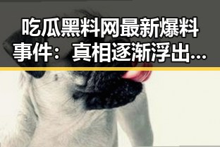 吃瓜黑料网最新爆料事件：真相逐渐浮出水面