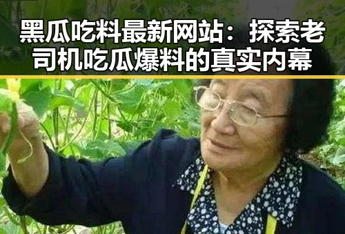 黑瓜吃料最新网站：探索老司机吃瓜爆料的真实内幕