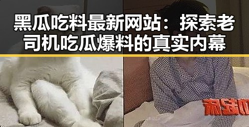 黑瓜吃料最新网站：探索老司机吃瓜爆料的真实内幕
